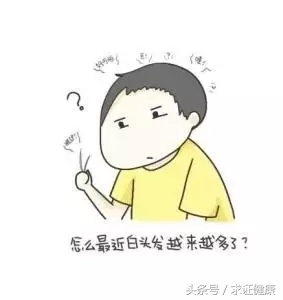 为啥会白头发,为什么你会有白头发