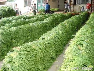 农村电商扶贫助力脱贫,农村电商扶贫助力农民