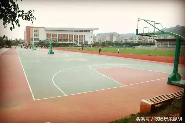 再见了龙狮城,再见了八年级