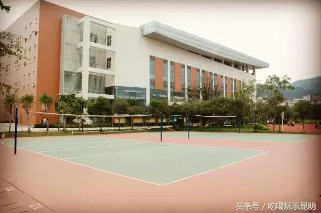 再见了龙狮城,再见了八年级