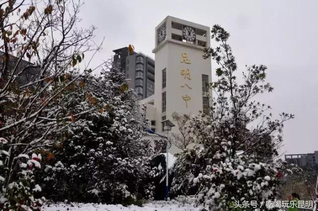 再见了龙狮城,再见了八年级