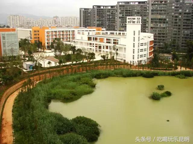 再见了龙狮城,再见了八年级