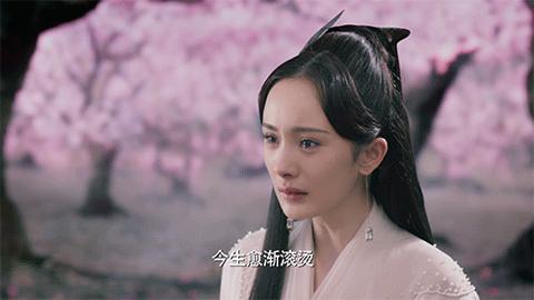 杨幂获奖感言谈被黑,杨幂获影后含金量遭质疑