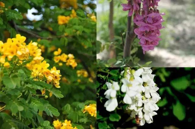 澶╂触婊ㄦ捣娌欓洉娴锋磱涔愬洯,澶╂触娴锋磱涔愬洯娌欓洉