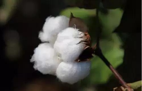 亚麻面料的洗涤与保养,各种面料的洗涤保养方法