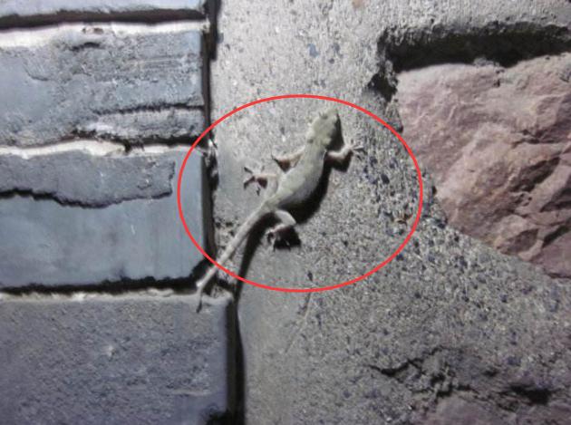 农村路边不能碰什么,村里的习俗什么东西不能碰