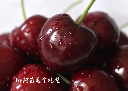 樱桃的季节和品种介绍,樱桃有几个品种哪个品种樱桃好吃