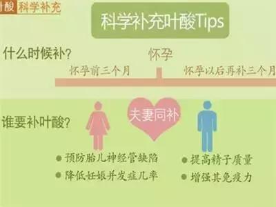 叶酸该怎么补,中年人补叶酸