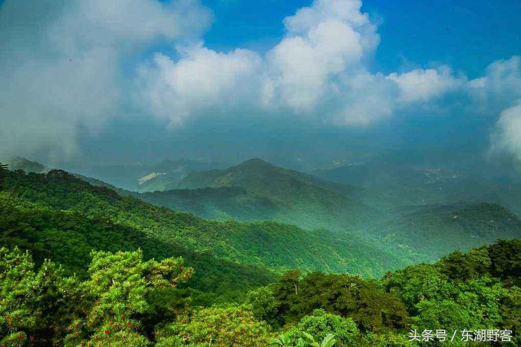 武汉周边避暑亲子游民宿,武汉附近适合夏天住的民宿