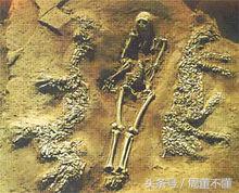 十二生肖由来的动画视频,十二生肖猴子真正的由来