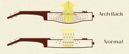 性价比最高的入门级尤克里里,初学者如何挑选尤克里里