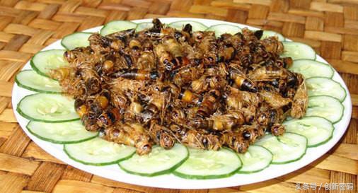 云南人站在食物链的顶端,死也不吃的食物