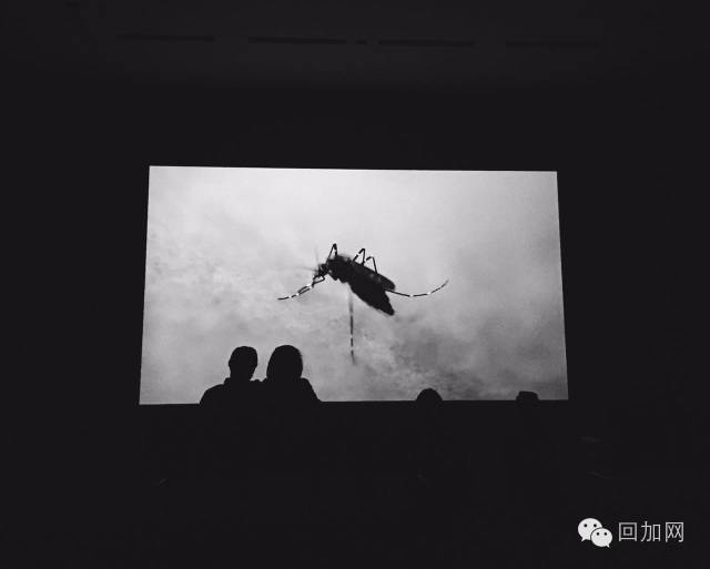 一个人玩儿一下午的地方,一个人玩一天的城市