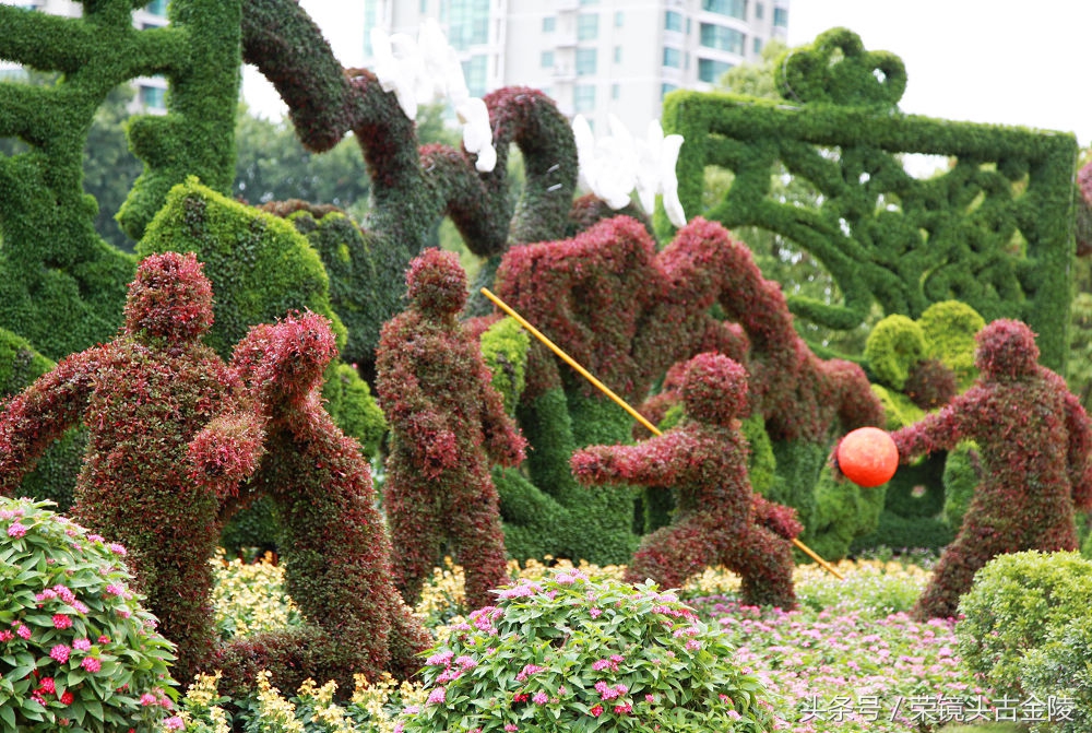 南京的绿湖,南京的月色美到令人窒息