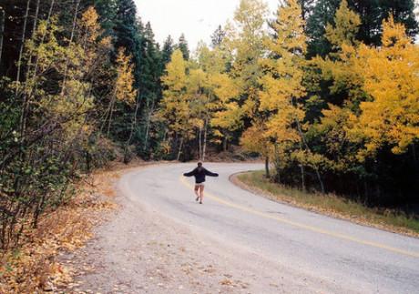 文艺句子发朋友圈的说说,怎么发油菜花的朋友圈文艺范
