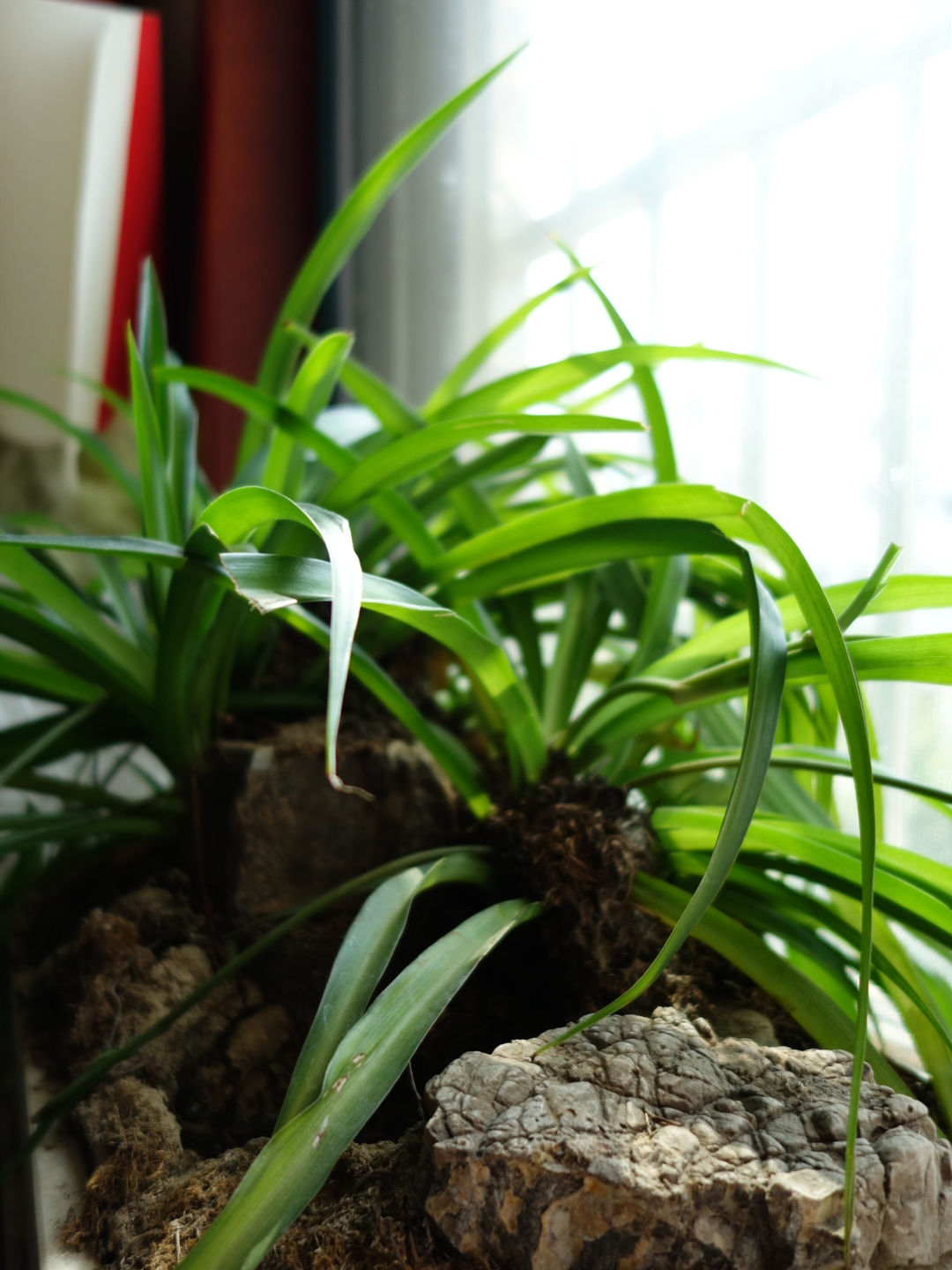 郯城必吃十大馆子川菜,郯城好吃川菜