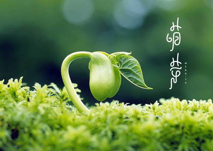 讲真的你改编版视频,讲真的你改编版