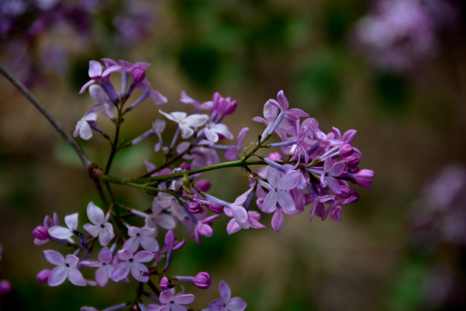 兰山公园在皋兰山上吗,站在兰山看风景
