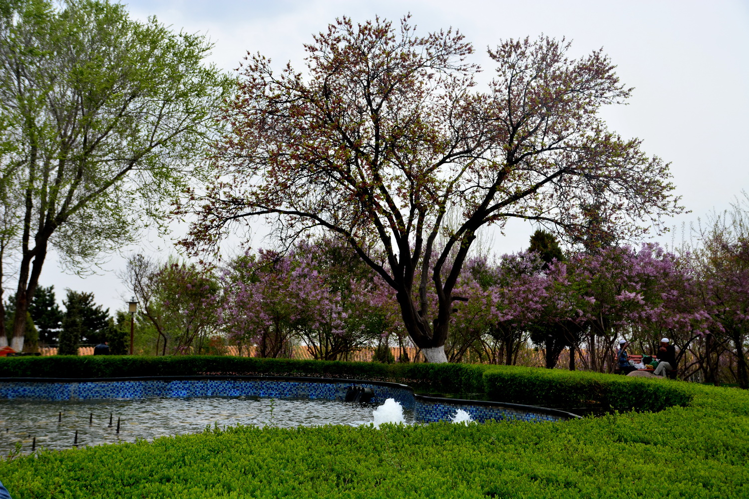 兰山公园在皋兰山上吗,站在兰山看风景