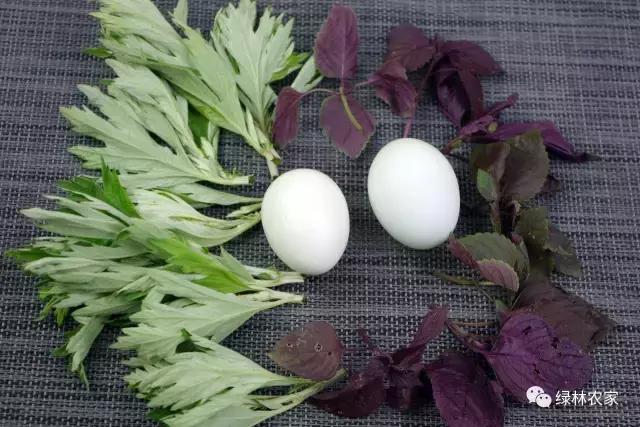 暖宫小秘方——艾草紫苏煮绿壳蛋