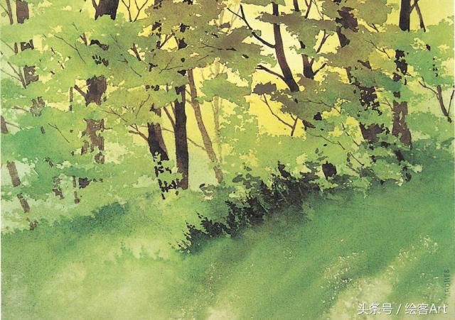 从一片树叶到一片树林,大树的树干画法步骤