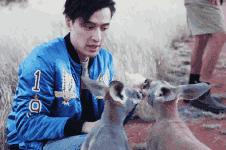 为什么去澳洲的朋友回来变胖,为什么从国外留学回来的人都变了