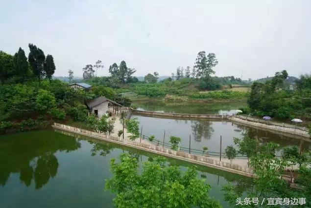 小龙虾基地钓龙虾,瑶海野钓龙虾的最佳地点