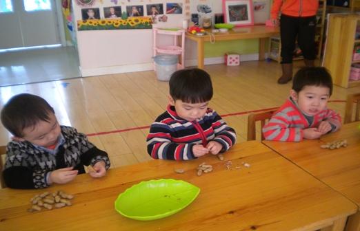 吃花生对白癜风有影响吗,花生怎么吃对白癜风有效呢