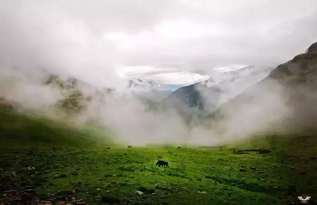 成都夹金山环线,成都夹金山骑行视频