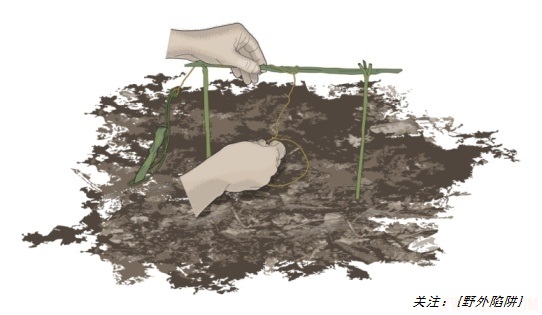 野外自动钓鱼装置,野外自制钓鱼装备全方法