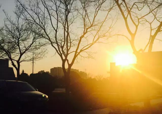 汉语言文学读研是什么体验,汉语言文学就读感受