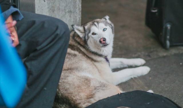 西雅图最浪漫的地方,西雅图一个充满文艺又浪漫的地方