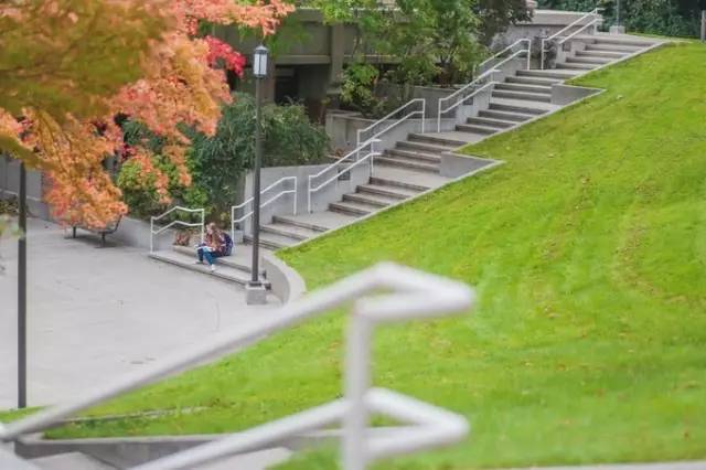 西雅图最浪漫的地方,西雅图一个充满文艺又浪漫的地方