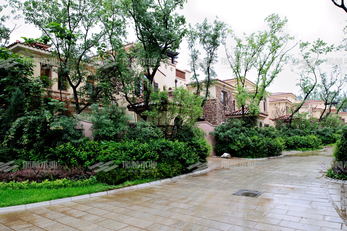 木窗和断桥铝窗哪个保温好,木塑窗和塑钢窗哪个好