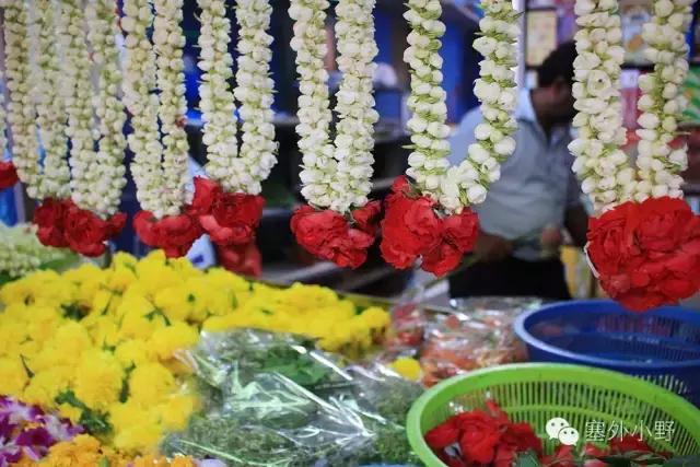 新加坡必备攻略,新加坡全程地铁游玩