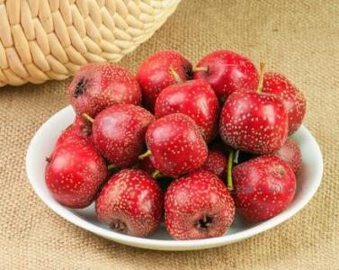 中医辨证饮食的护理ppt,中医辨证饮食试题及答案