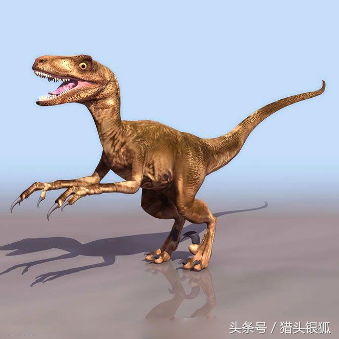 恐龙灭亡真相揭秘,各类恐龙生活的年代及灭亡时间