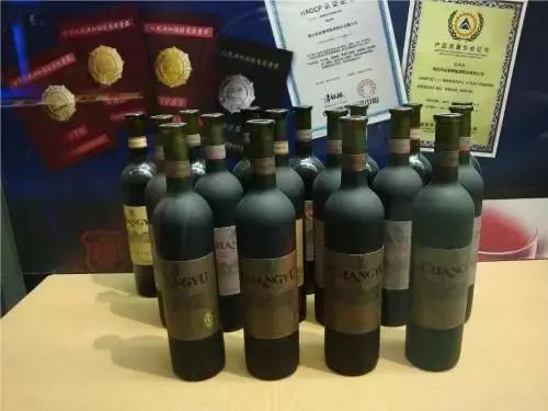 一组张裕爱斐堡酒庄实景图,蓝裕文化