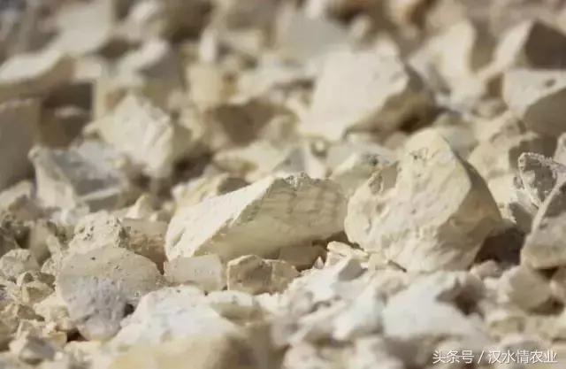 天然的血管支架,被称为血管天然支架的药材是