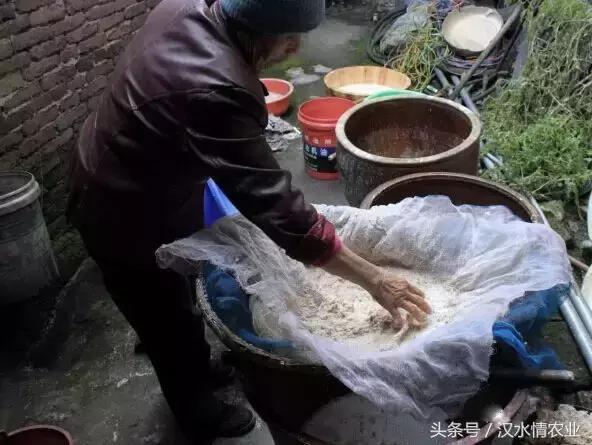 天然的血管支架,被称为血管天然支架的药材是