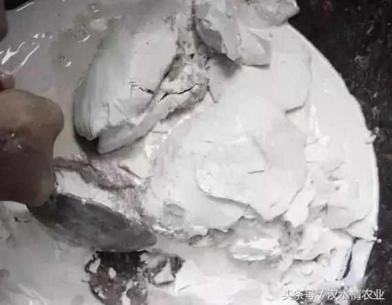 天然的血管支架,被称为血管天然支架的药材是