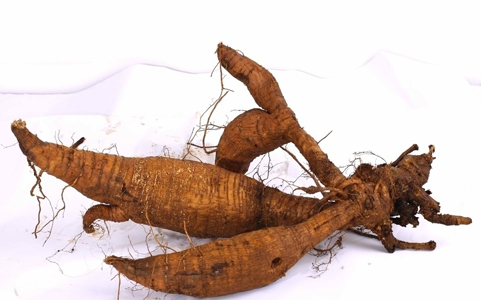 被称为天然血管支架的药是什么药,血管支架可以降三高吗