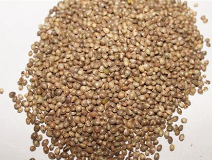 巴马火麻仁做法,巴马火麻汤的正确吃法