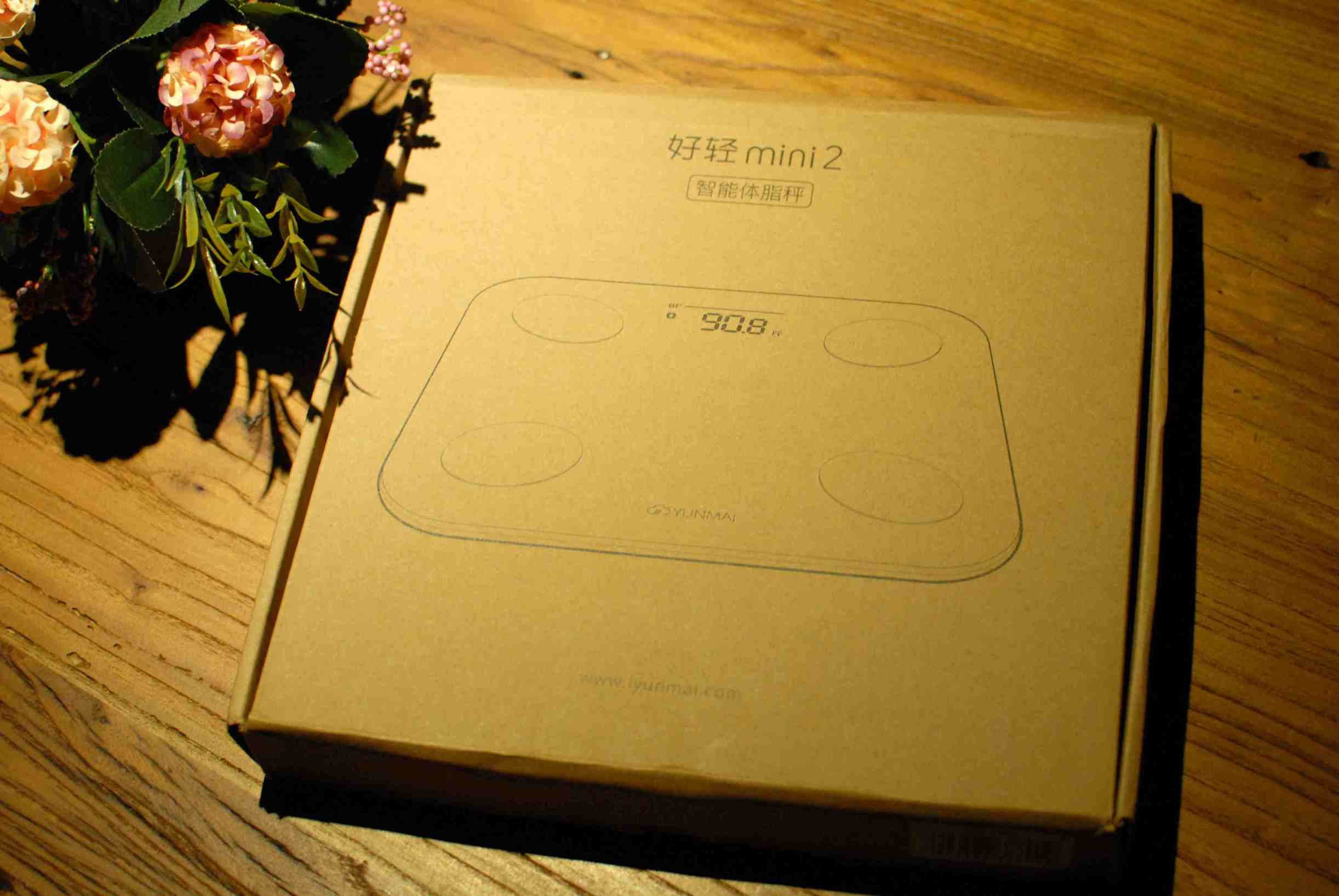 云麦mini2体脂秤说明书,云麦体脂秤mini2s测评