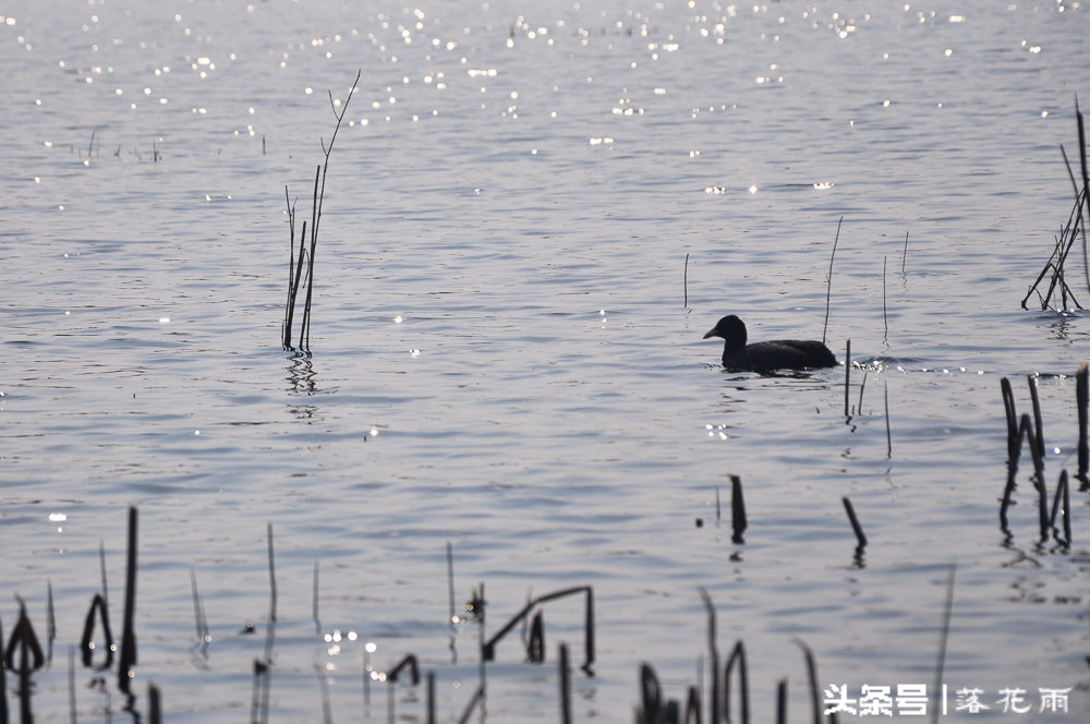 威宁草海之旅,避开人群去看海