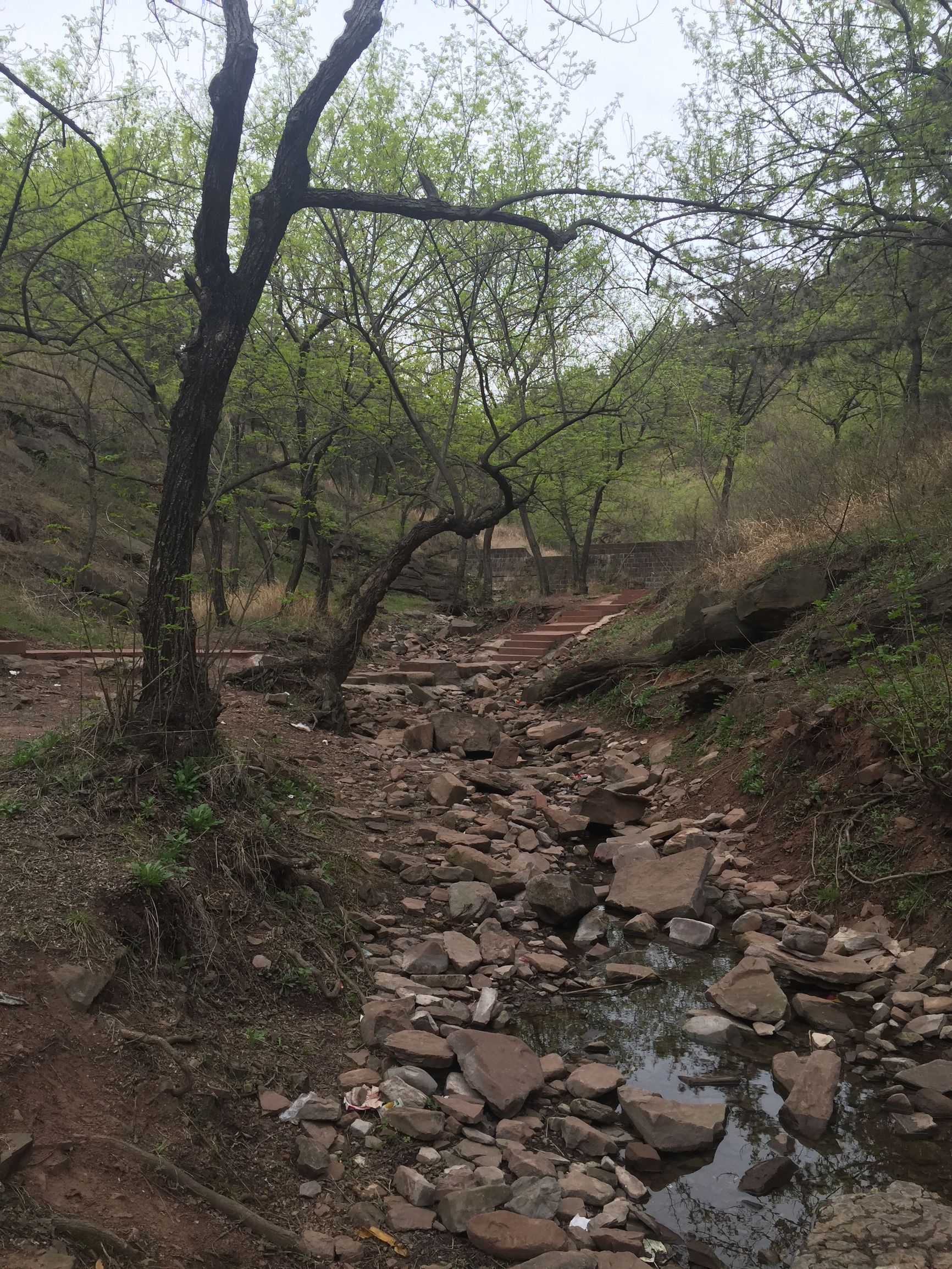 郯城必吃十大馆子川菜,郯城好吃川菜