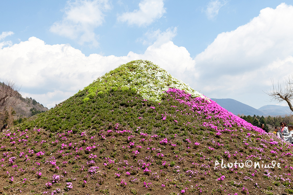 空姐在东京旅游,跟着游东京