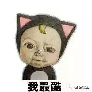 请外国海关放过中国特产吧:鸡精里真的没有鸡,龟苓膏里也没龟!