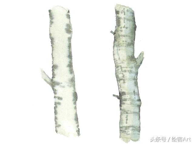 从一片树叶到一片树林,大树的树干画法步骤