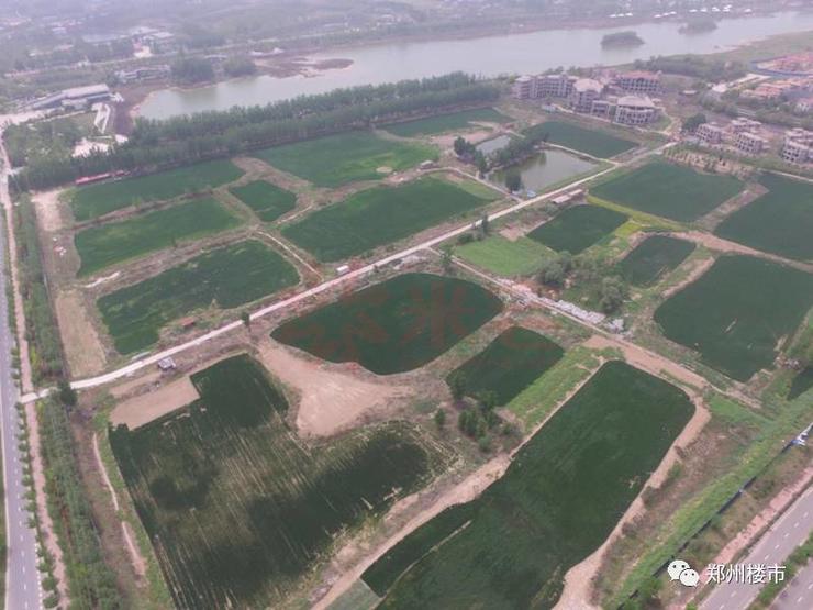 郑州中牟的雁鸣湖房地产,中牟雁鸣湖开发商